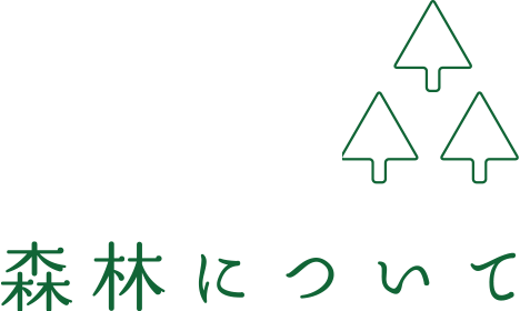 森林について